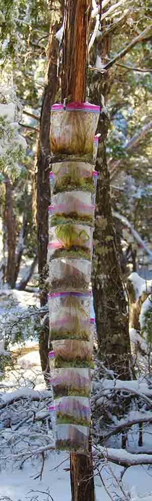 Austin Artists Market