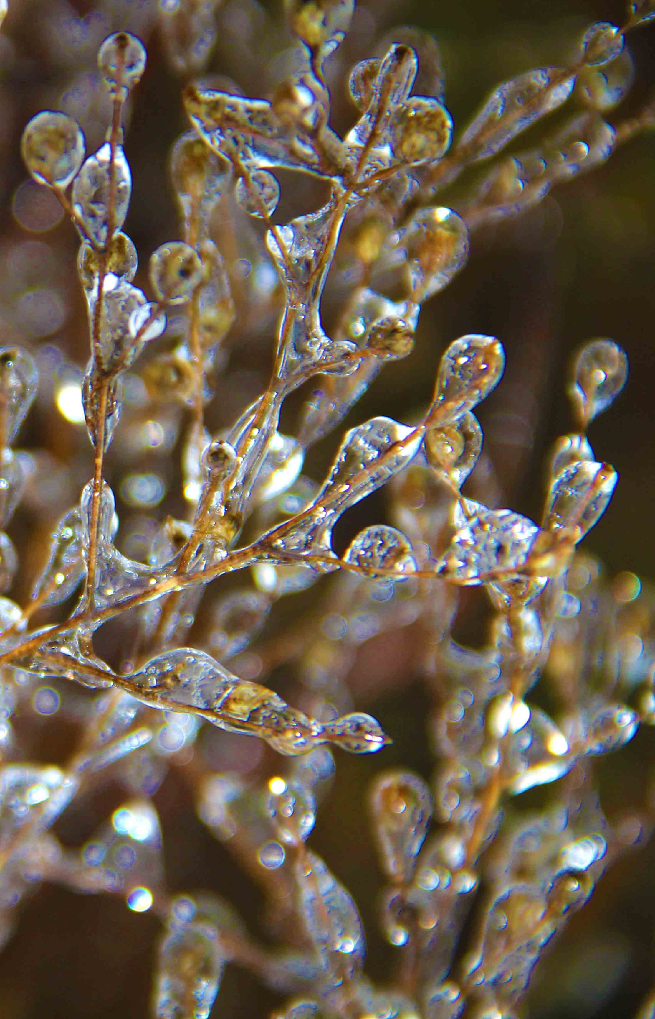 Austin Texas Art Gallery Museum