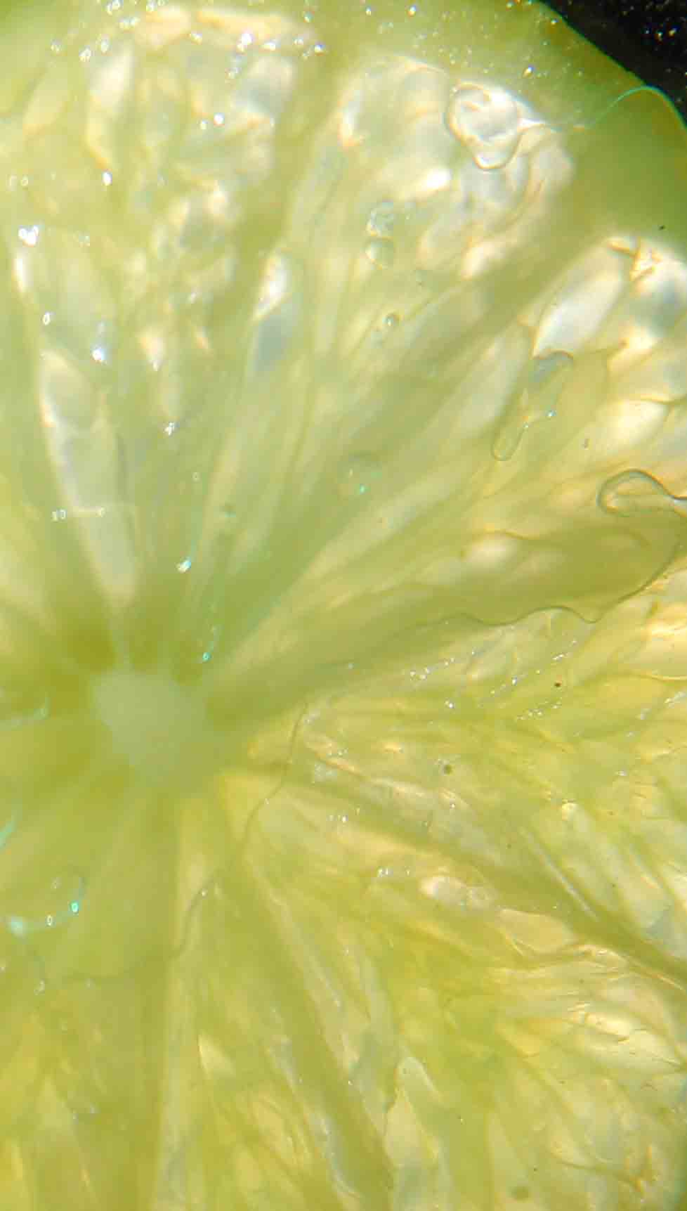 Austin Art Galleries